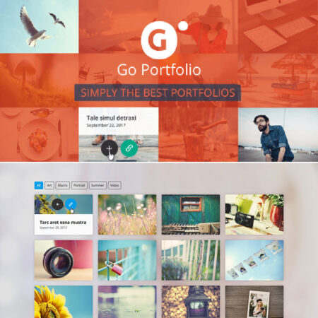پلاگین وردپرس Go Portfolio