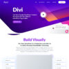 پلاگین وردپرس Divi Builder