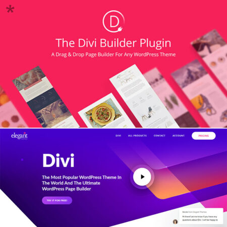 پلاگین وردپرس Divi Builder