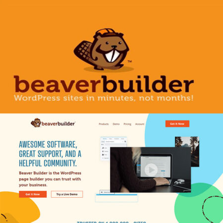پلاگین وردپرس Beaver Builder Pro