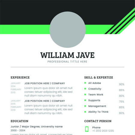 قالب رزومه William Jave CV
